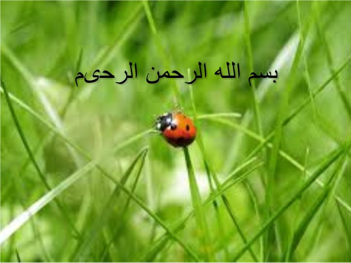 پاورپوینت بررسی سیستم عصبی